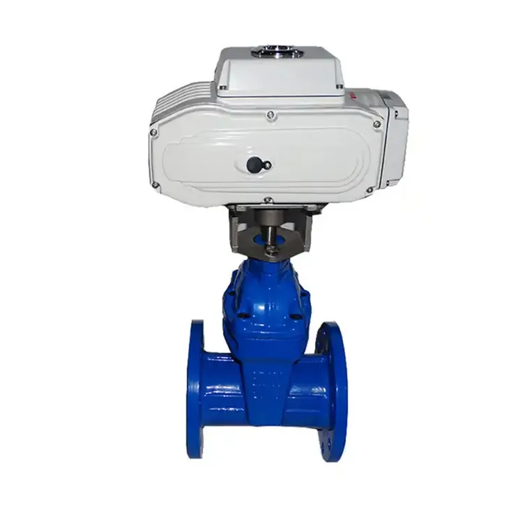 Electric Gate Valve